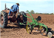 A man drives a tractor in a field
