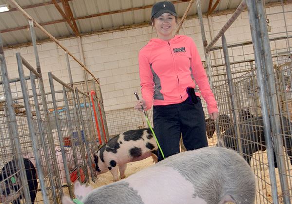 A young woman in a pen with pigs