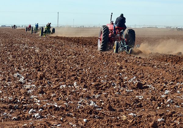 People driving tractors through a field